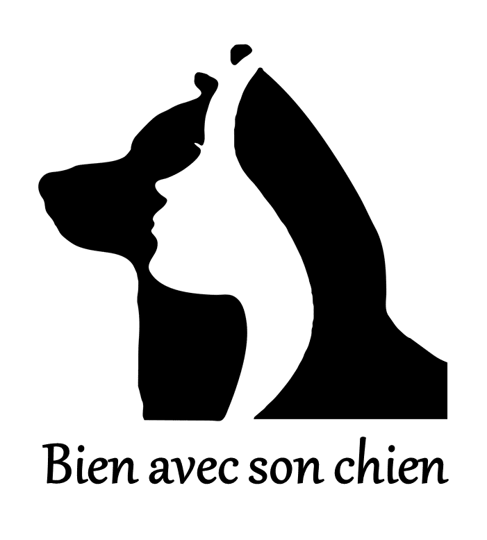 Bien avec son chien