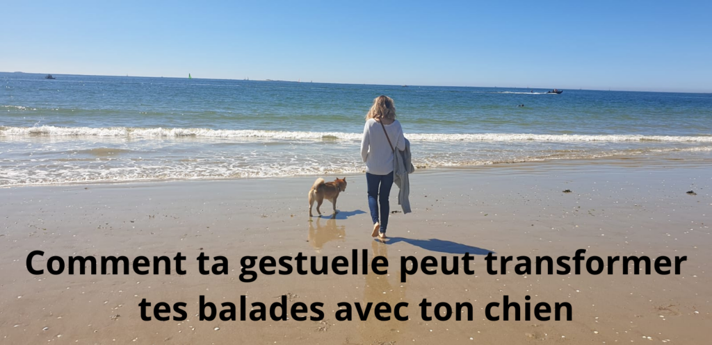 Comment ta gestuelle peut transformer tes balades avec ton chien